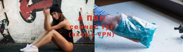 кокс Арсеньев