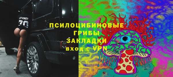 кокс Арсеньев