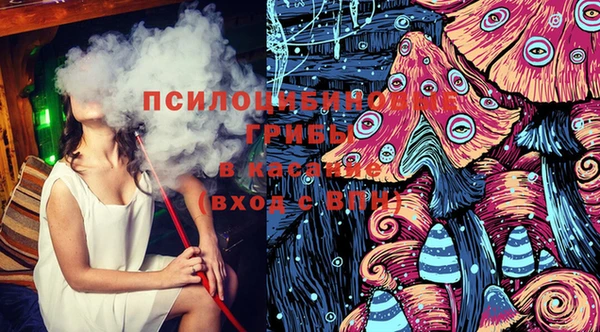 мяу мяу мука Армянск